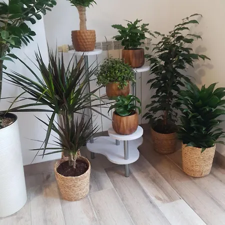 Apartment Rea Subotica