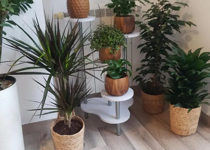 아파트 Rea 수보티차